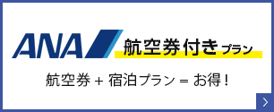 ANA　航空券付きプラン